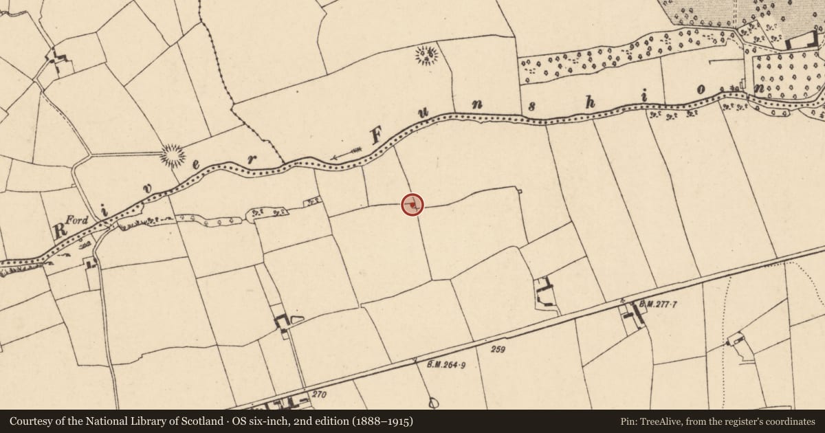 Ordnance Survey six-inch map, 2nd edition (1888–1915) covering the location of Kiln - lime, Cloghleafin (Condons and Clongibbon By., Kilgullane Par.), County Cork, with a pin at the register's coordinates