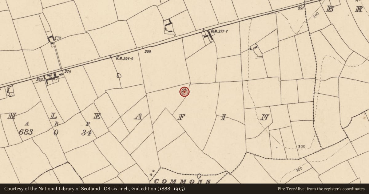 Ordnance Survey six-inch map, 2nd edition (1888–1915) covering the location of Ringfort - rath, Cloghleafin (Condons and Clongibbon By., Kilgullane Par.), County Cork, with a pin at the register's coordinates