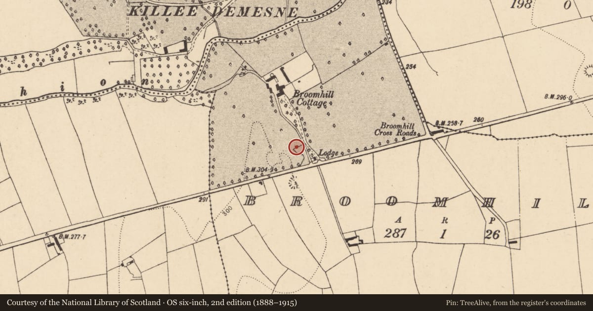 Ordnance Survey six-inch map, 2nd edition (1888–1915) covering the location of Kiln - lime, Broomhill, County Cork, with a pin at the register's coordinates