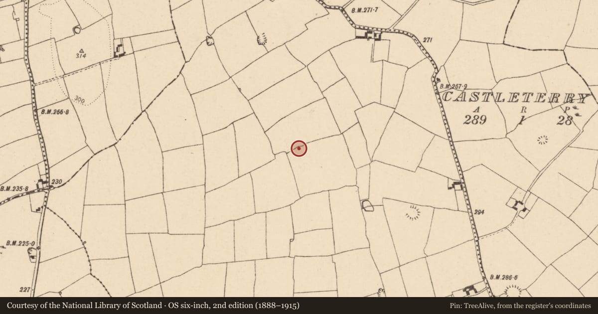 Ordnance Survey six-inch map, 2nd edition (1888–1915) covering the location of Ringfort - rath, Ballindangan, County Cork, with a pin at the register's coordinates