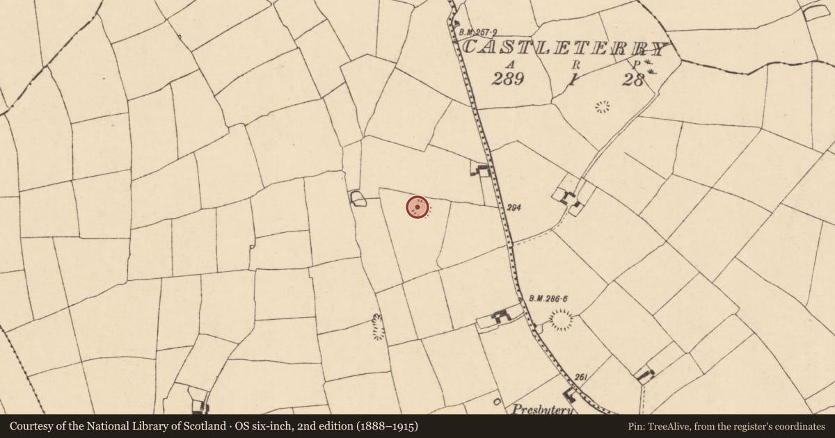 Ordnance Survey six-inch map, 2nd edition (1888–1915) covering the location of Ringfort - rath, Ballindangan, County Cork, with a pin at the register's coordinates