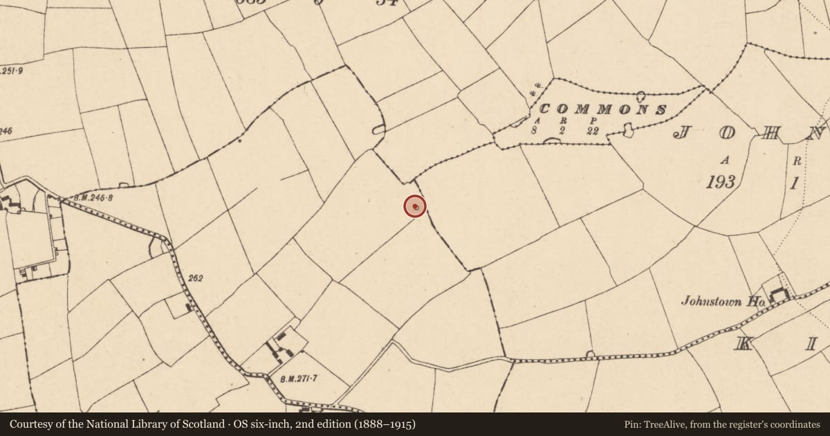 Ordnance Survey six-inch map, 2nd edition (1888–1915) covering the location of Kiln - lime, Castleterry, County Cork, with a pin at the register's coordinates