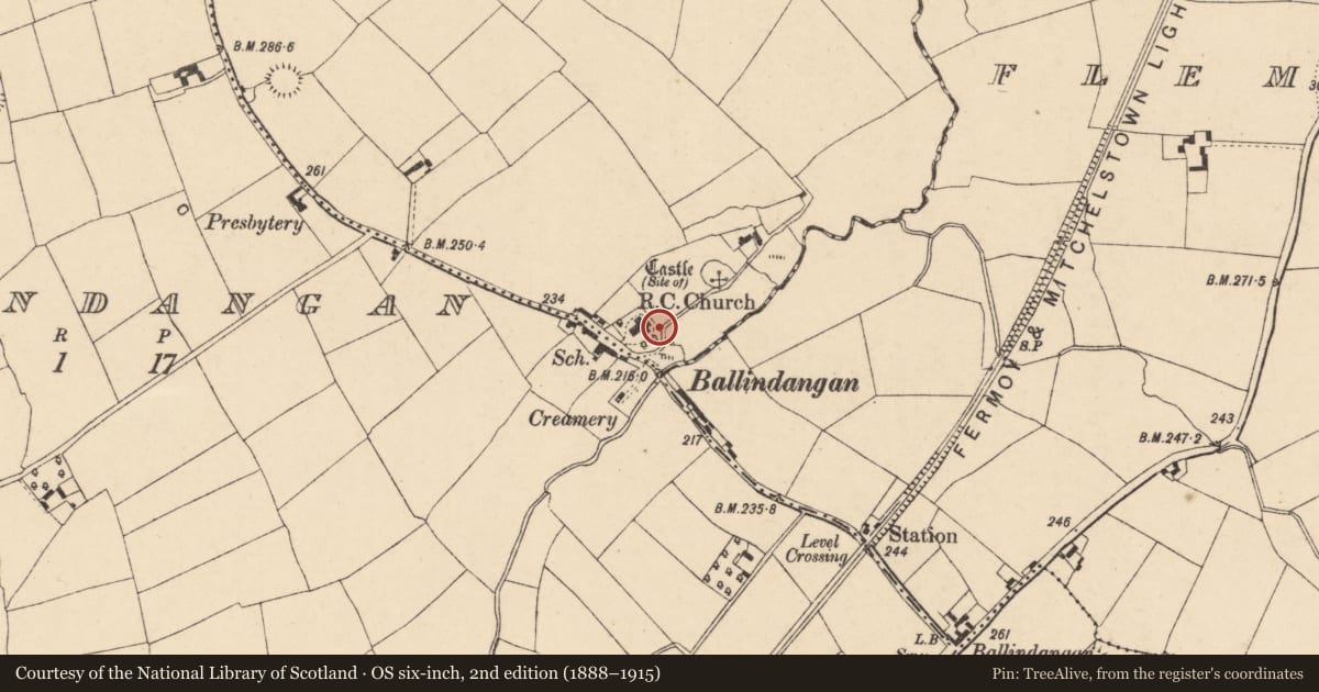 Ordnance Survey six-inch map, 2nd edition (1888–1915) covering the location of Bullaun stone, Castleterry, County Cork, with a pin at the register's coordinates