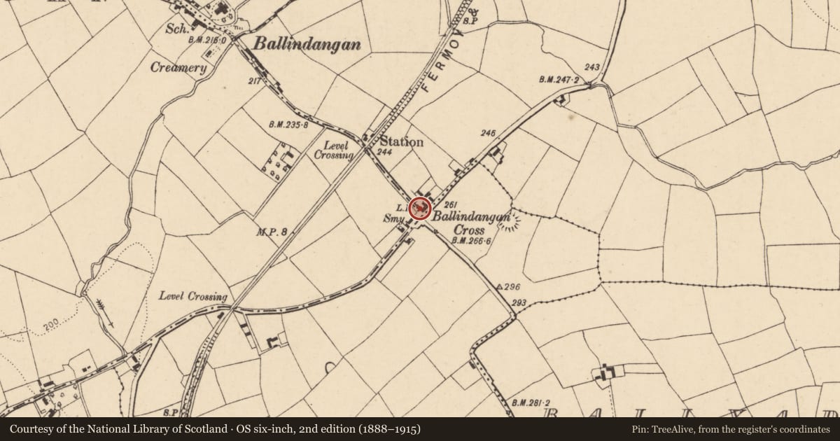 Ordnance Survey six-inch map, 2nd edition (1888–1915) covering the location of House - vernacular house, Flemingstown, County Cork, with a pin at the register's coordinates
