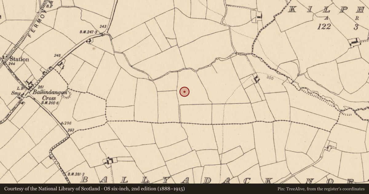 Ordnance Survey six-inch map, 2nd edition (1888–1915) covering the location of Fulacht fia, Flemingstown, County Cork, with a pin at the register's coordinates