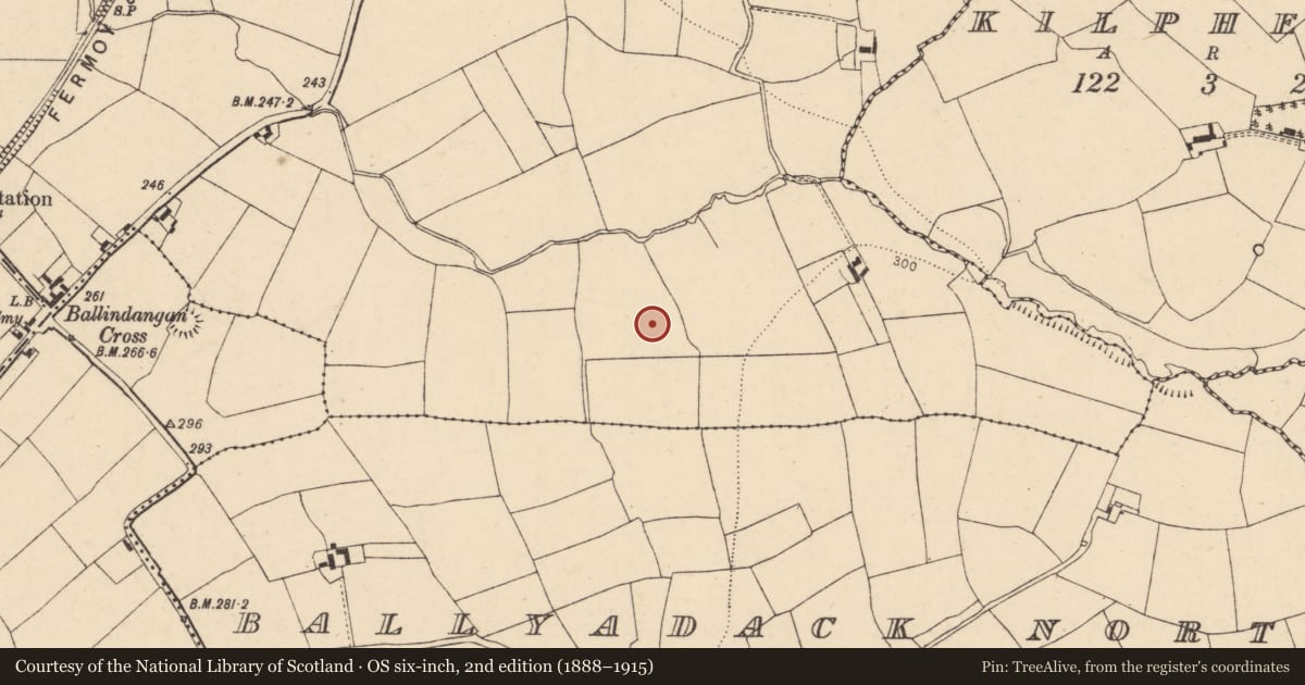 Ordnance Survey six-inch map, 2nd edition (1888–1915) covering the location of Fulacht fia, Flemingstown, County Cork, with a pin at the register's coordinates