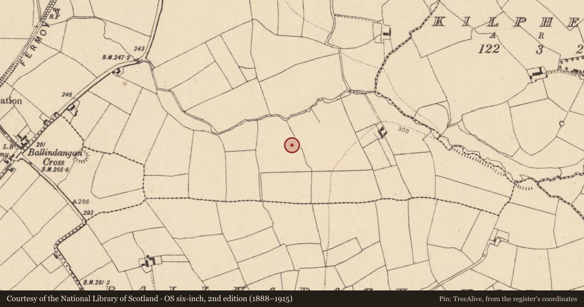 Ordnance Survey six-inch map, 2nd edition (1888–1915) covering the location of Fulacht fia, Flemingstown, County Cork, with a pin at the register's coordinates