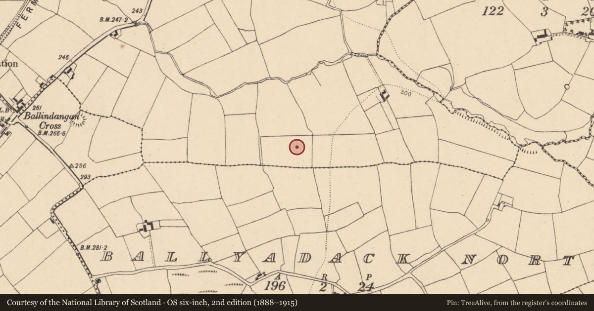 Ordnance Survey six-inch map, 2nd edition (1888–1915) covering the location of Fulacht fia, Flemingstown, County Cork, with a pin at the register's coordinates