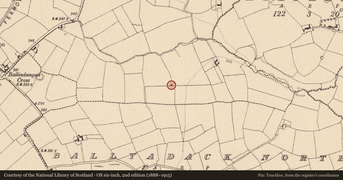 Ordnance Survey six-inch map, 2nd edition (1888–1915) covering the location of Fulacht fia, Flemingstown, County Cork, with a pin at the register's coordinates
