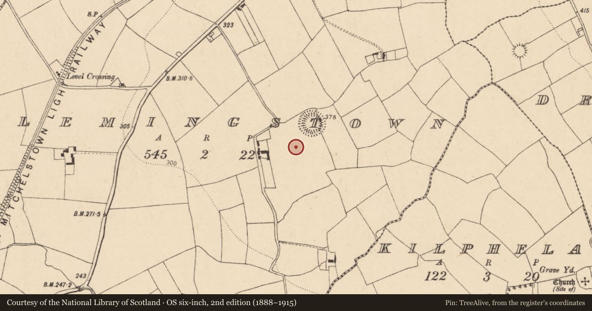 Ordnance Survey six-inch map, 2nd edition (1888–1915) covering the location of Standing stone, Flemingstown, County Cork, with a pin at the register's coordinates
