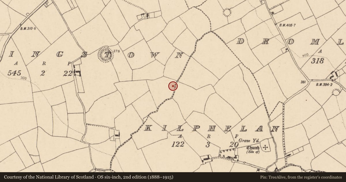 Ordnance Survey six-inch map, 2nd edition (1888–1915) covering the location of Fulacht fia, Flemingstown, County Cork, with a pin at the register's coordinates
