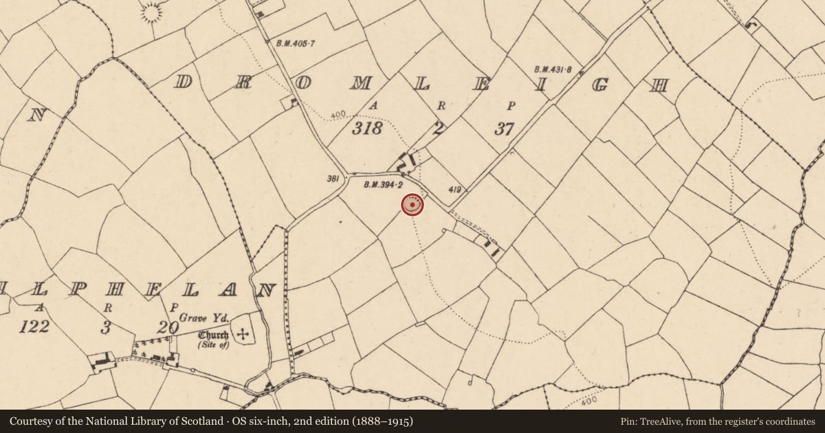 Ordnance Survey six-inch map, 2nd edition (1888–1915) covering the location of Ringfort - rath, Dromleigh, County Cork, with a pin at the register's coordinates