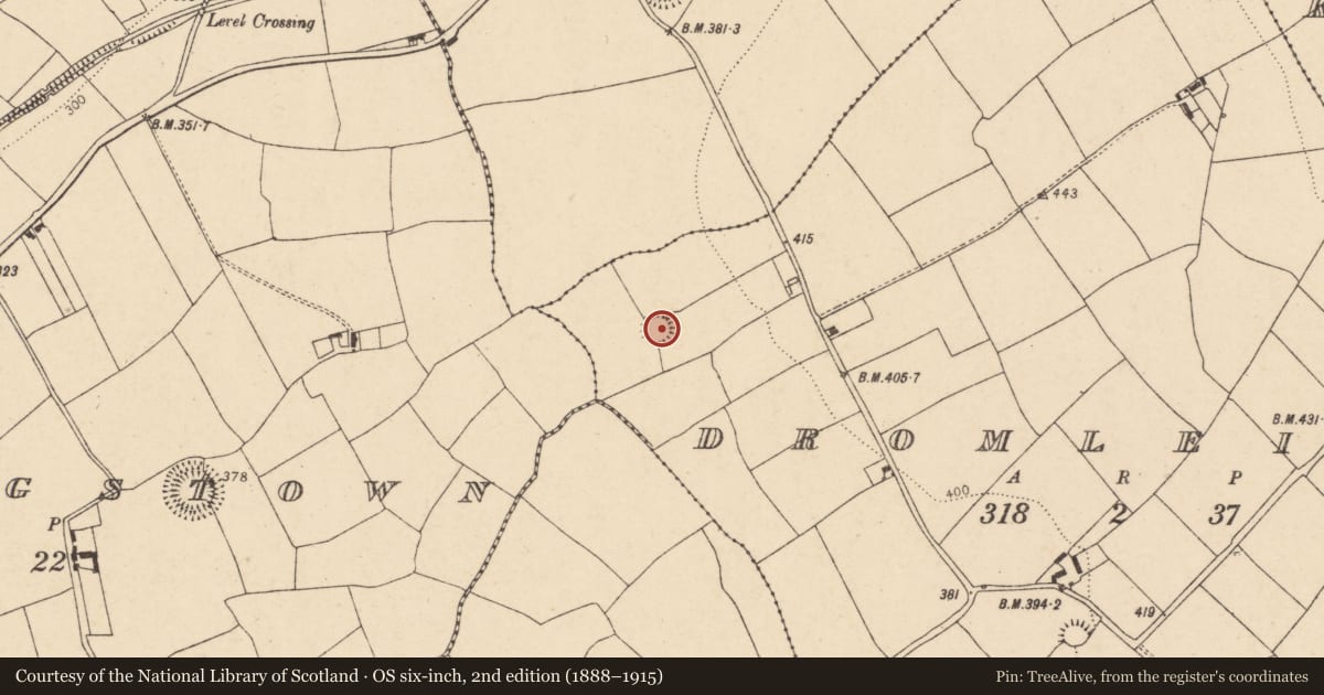 Ordnance Survey six-inch map, 2nd edition (1888–1915) covering the location of Ringfort - rath, Dromleigh, County Cork, with a pin at the register's coordinates