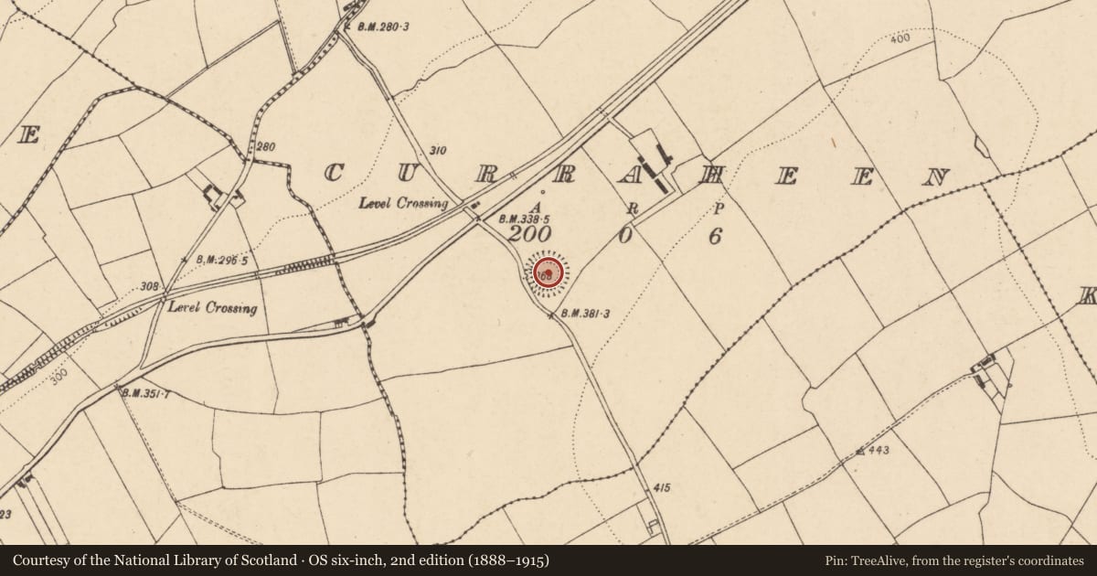 Ordnance Survey six-inch map, 2nd edition (1888–1915) covering the location of Ringfort - rath, Curraheen, County Cork, with a pin at the register's coordinates