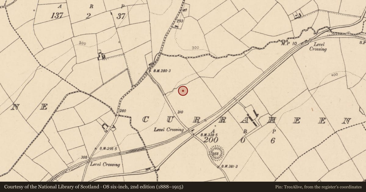 Ordnance Survey six-inch map, 2nd edition (1888–1915) covering the location of Enclosure, Curraheen, County Cork, with a pin at the register's coordinates