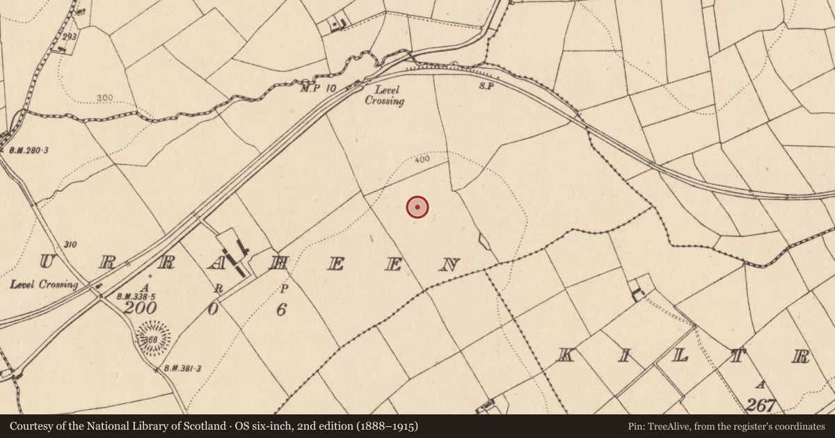 Ordnance Survey six-inch map, 2nd edition (1888–1915) covering the location of Ringfort - rath, Curraheen, County Cork, with a pin at the register's coordinates