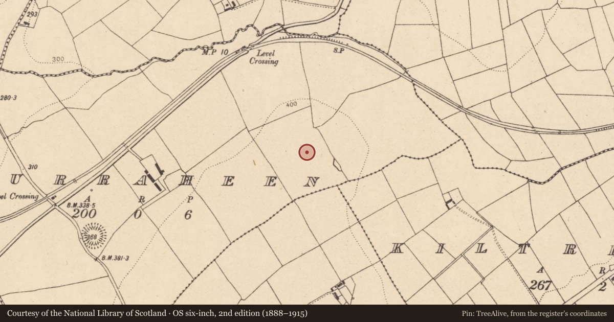 Ordnance Survey six-inch map, 2nd edition (1888–1915) covering the location of Enclosure, Curraheen, County Cork, with a pin at the register's coordinates