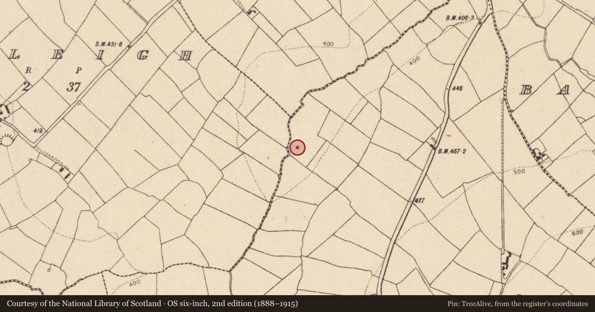 Ordnance Survey six-inch map, 2nd edition (1888–1915) covering the location of Fulacht fia, Gortnahown, County Cork, with a pin at the register's coordinates