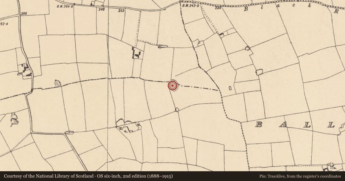 Ordnance Survey six-inch map, 2nd edition (1888–1915) covering the location of Ringfort - rath, Ballyenahan South, County Cork, with a pin at the register's coordinates