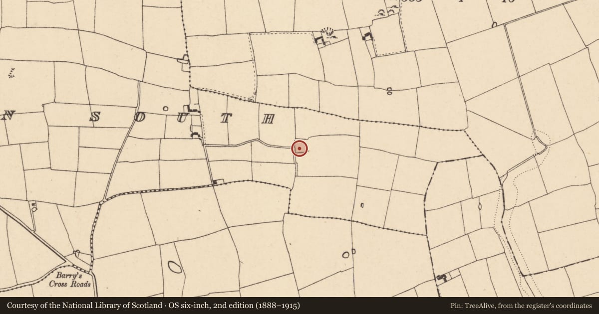 Ordnance Survey six-inch map, 2nd edition (1888–1915) covering the location of Ringfort - rath, Ballyenahan South, County Cork, with a pin at the register's coordinates
