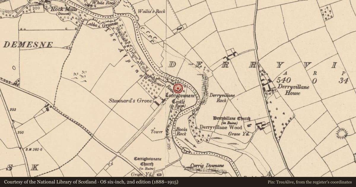 Ordnance Survey six-inch map, 2nd edition (1888–1915) covering the location of Castle - Anglo-Norman masonry castle, Carrigdownane Lower, County Cork, with a pin at the register's coordinates