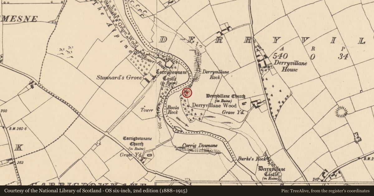 Ordnance Survey six-inch map, 2nd edition (1888–1915) covering the location of Kiln - lime, Derryvillane, County Cork, with a pin at the register's coordinates