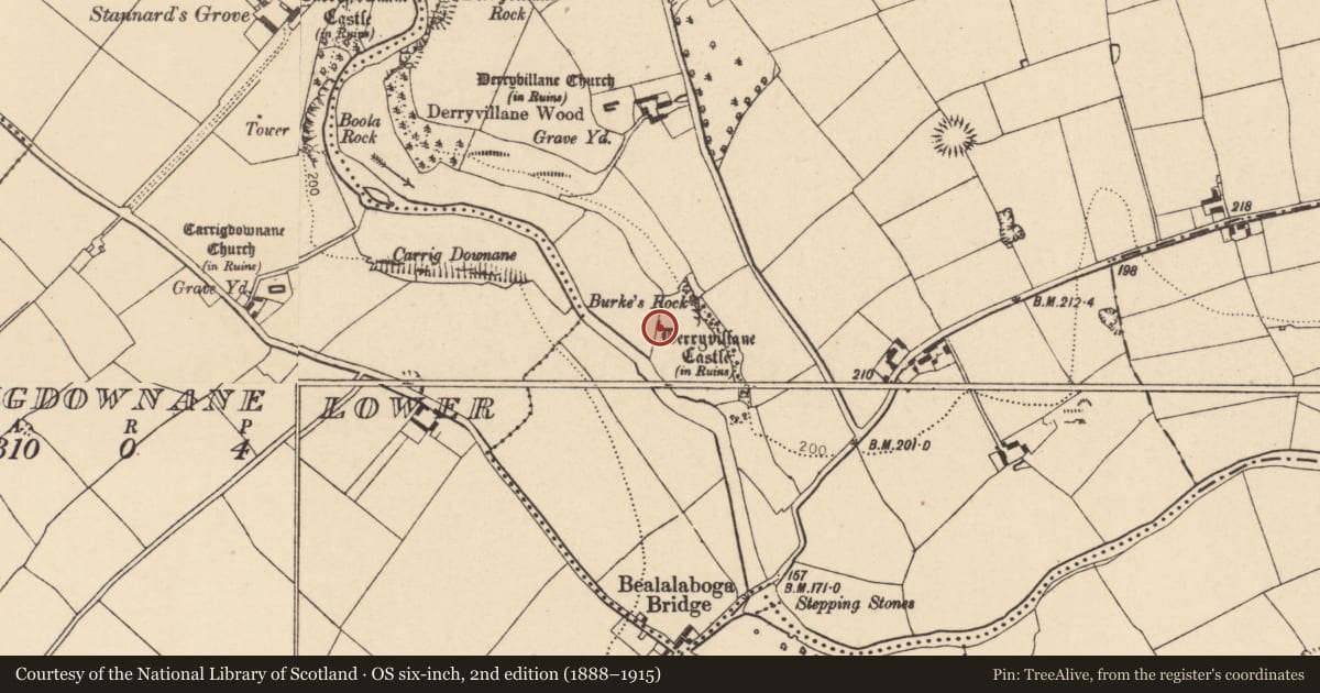 Ordnance Survey six-inch map, 2nd edition (1888–1915) covering the location of Castle - unclassified, Derryvillane, County Cork, with a pin at the register's coordinates