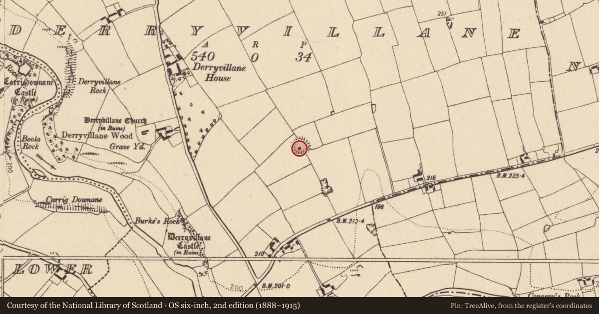 Ordnance Survey six-inch map, 2nd edition (1888–1915) covering the location of Ringfort - rath, Derryvillane, County Cork, with a pin at the register's coordinates