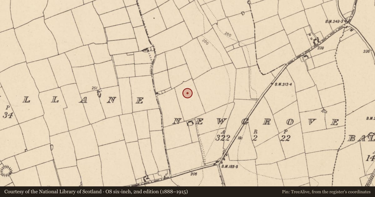 Ordnance Survey six-inch map, 2nd edition (1888–1915) covering the location of Standing stone, Newgrove, County Cork, with a pin at the register's coordinates
