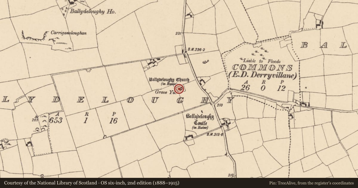 Ordnance Survey six-inch map, 2nd edition (1888–1915) covering the location of Graveyard, Ballydeloughy, County Cork, with a pin at the register's coordinates