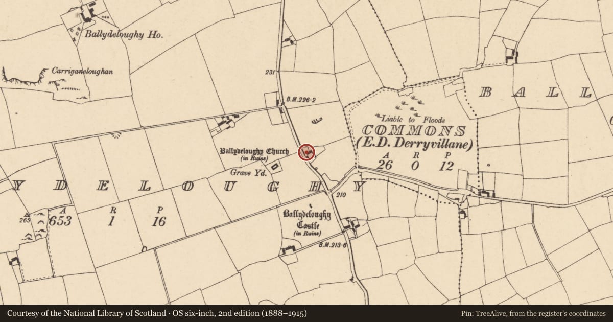 Ordnance Survey six-inch map, 2nd edition (1888–1915) covering the location of House - vernacular house, Ballydeloughy, County Cork, with a pin at the register's coordinates