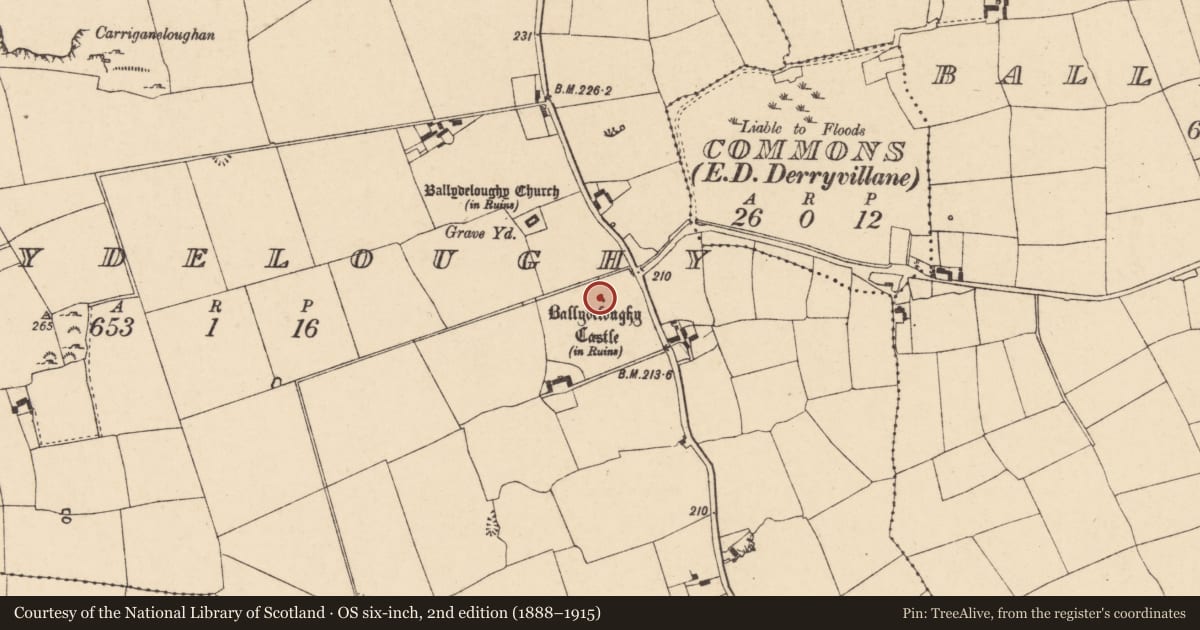 Ordnance Survey six-inch map, 2nd edition (1888–1915) covering the location of Castle - unclassified, Ballydeloughy, County Cork, with a pin at the register's coordinates