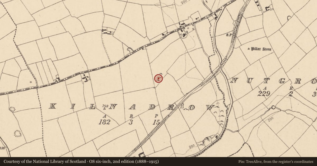 Ordnance Survey six-inch map, 2nd edition (1888–1915) covering the location of Burial ground, Kilnadrow, County Cork, with a pin at the register's coordinates