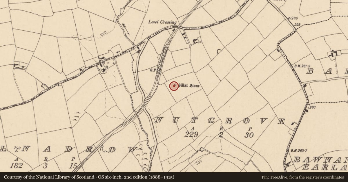 Ordnance Survey six-inch map, 2nd edition (1888–1915) covering the location of Standing stone, Nutgrove, County Cork, with a pin at the register's coordinates