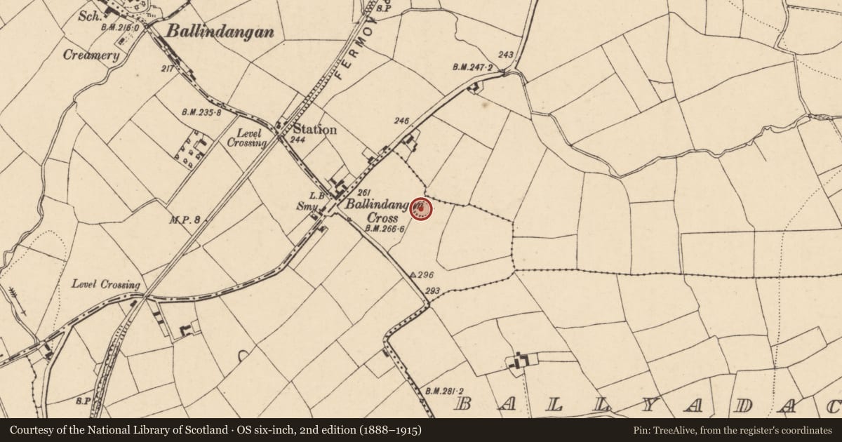 Ordnance Survey six-inch map, 2nd edition (1888–1915) covering the location of Ringfort - rath, Nutgrove, County Cork, with a pin at the register's coordinates
