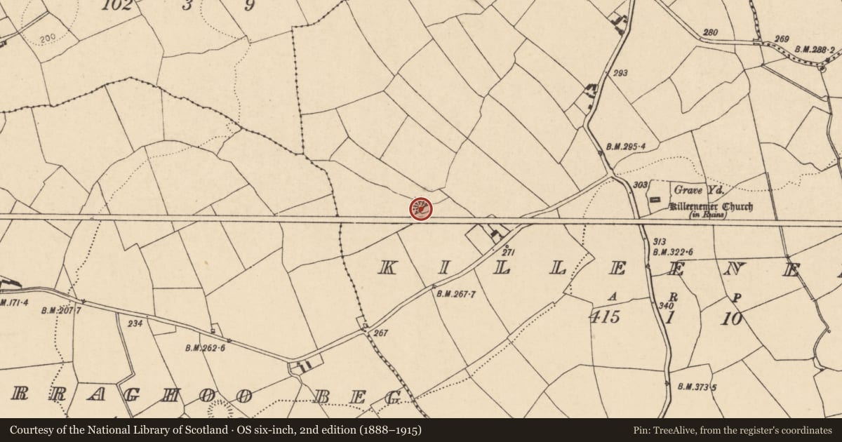 Ordnance Survey six-inch map, 2nd edition (1888–1915) covering the location of Ringfort - rath, Killeenemer, County Cork, with a pin at the register's coordinates