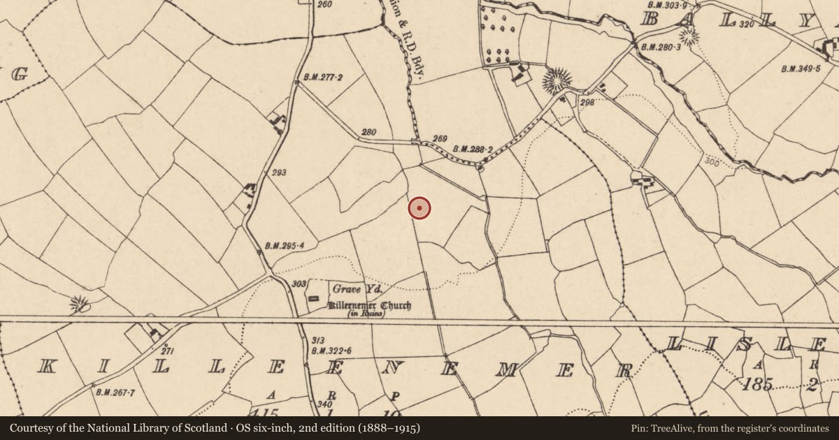 Ordnance Survey six-inch map, 2nd edition (1888–1915) covering the location of Fulacht fia, Killeenemer, County Cork, with a pin at the register's coordinates
