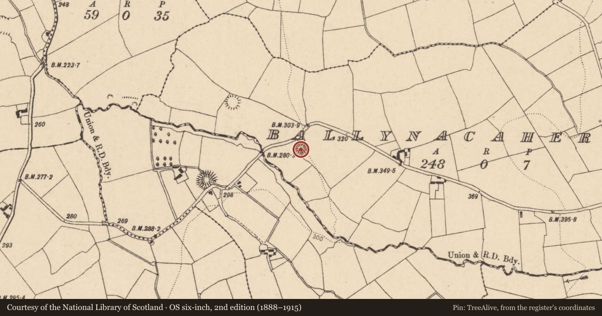 Ordnance Survey six-inch map, 2nd edition (1888–1915) covering the location of Ringfort - rath, Ballynacaheragh, County Cork, with a pin at the register's coordinates