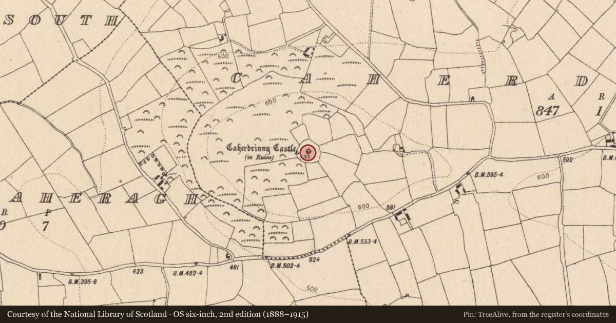 Ordnance Survey six-inch map, 2nd edition (1888–1915) covering the location of Hilltop enclosure, Caherdrinny (Condons and Clongibbon By., Glanworth Par.), County Cork, with a pin at the register's coordinates