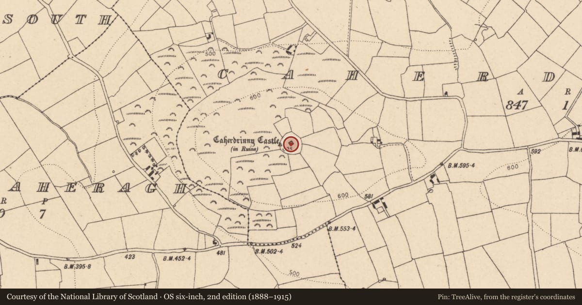 Ordnance Survey six-inch map, 2nd edition (1888–1915) covering the location of Castle - tower house, Caherdrinny (Condons and Clongibbon By., Glanworth Par.), County Cork, with a pin at the register's coordinates