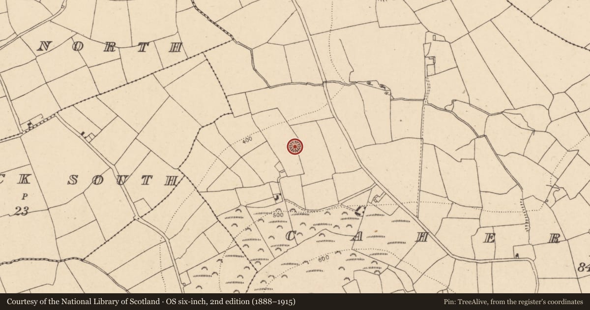 Ordnance Survey six-inch map, 2nd edition (1888–1915) covering the location of Ringfort - rath, Caherdrinny (Condons and Clongibbon By., Glanworth Par.), County Cork, with a pin at the register's coordinates
