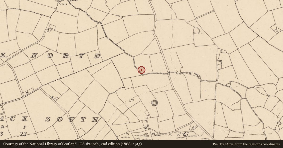 Ordnance Survey six-inch map, 2nd edition (1888–1915) covering the location of Fulacht fia, Caherdrinny (Condons and Clongibbon By., Glanworth Par.), County Cork, with a pin at the register's coordinates