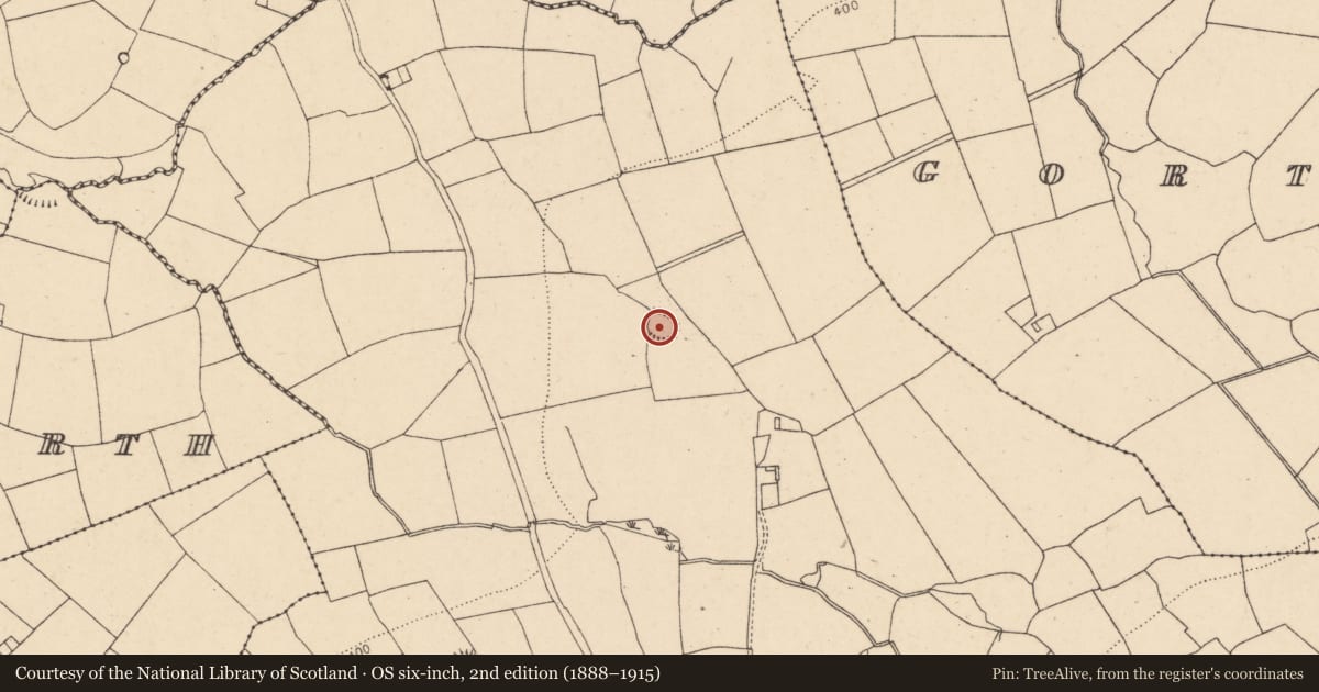 Ordnance Survey six-inch map, 2nd edition (1888–1915) covering the location of Ringfort - rath, Caherdrinny (Condons and Clongibbon By., Kilphelan Par.), County Cork, with a pin at the register's coordinates