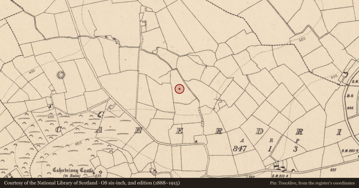 Ordnance Survey six-inch map, 2nd edition (1888–1915) covering the location of Fulacht fia, Caherdrinny (Condons and Clongibbon By., Glanworth Par.), County Cork, with a pin at the register's coordinates