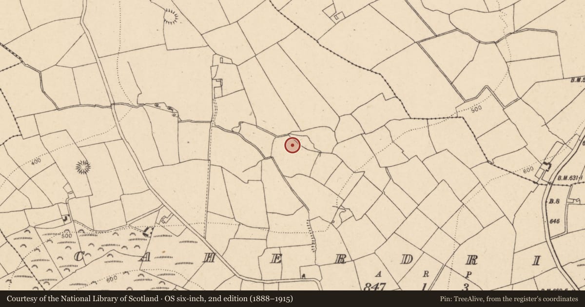 Ordnance Survey six-inch map, 2nd edition (1888–1915) covering the location of Fulacht fia, Caherdrinny (Condons and Clongibbon By., Glanworth Par.), County Cork, with a pin at the register's coordinates