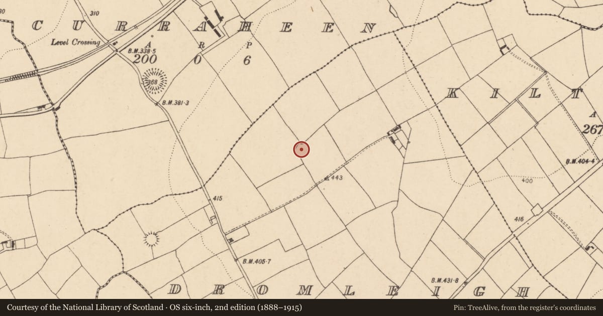 Ordnance Survey six-inch map, 2nd edition (1888–1915) covering the location of Enclosure, Dromleigh, County Cork, with a pin at the register's coordinates