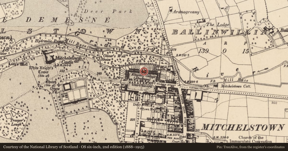 Ordnance Survey six-inch map, 2nd edition (1888–1915) covering the location of Almshouse, Brigown, County Cork, with a pin at the register's coordinates