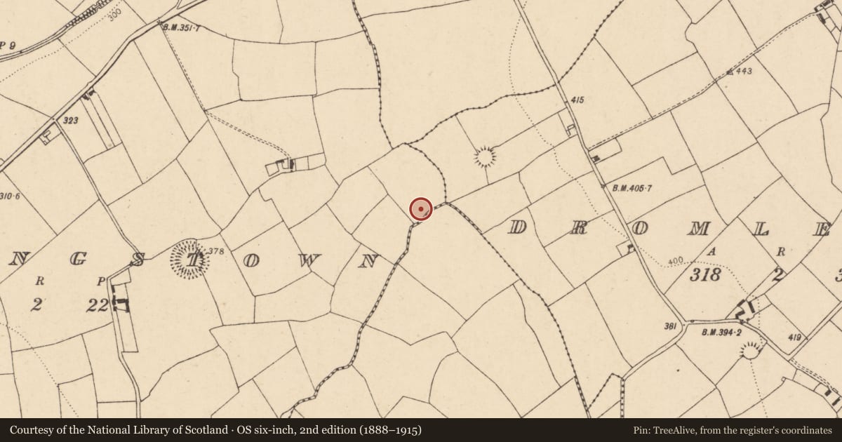 Ordnance Survey six-inch map, 2nd edition (1888–1915) covering the location of Fulacht fia, Flemingstown, County Cork, with a pin at the register's coordinates