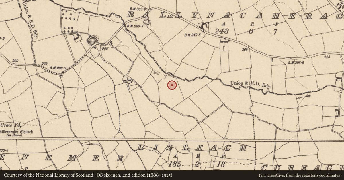 Ordnance Survey six-inch map, 2nd edition (1888–1915) covering the location of Fulacht fia, Lisleagh, County Cork, with a pin at the register's coordinates