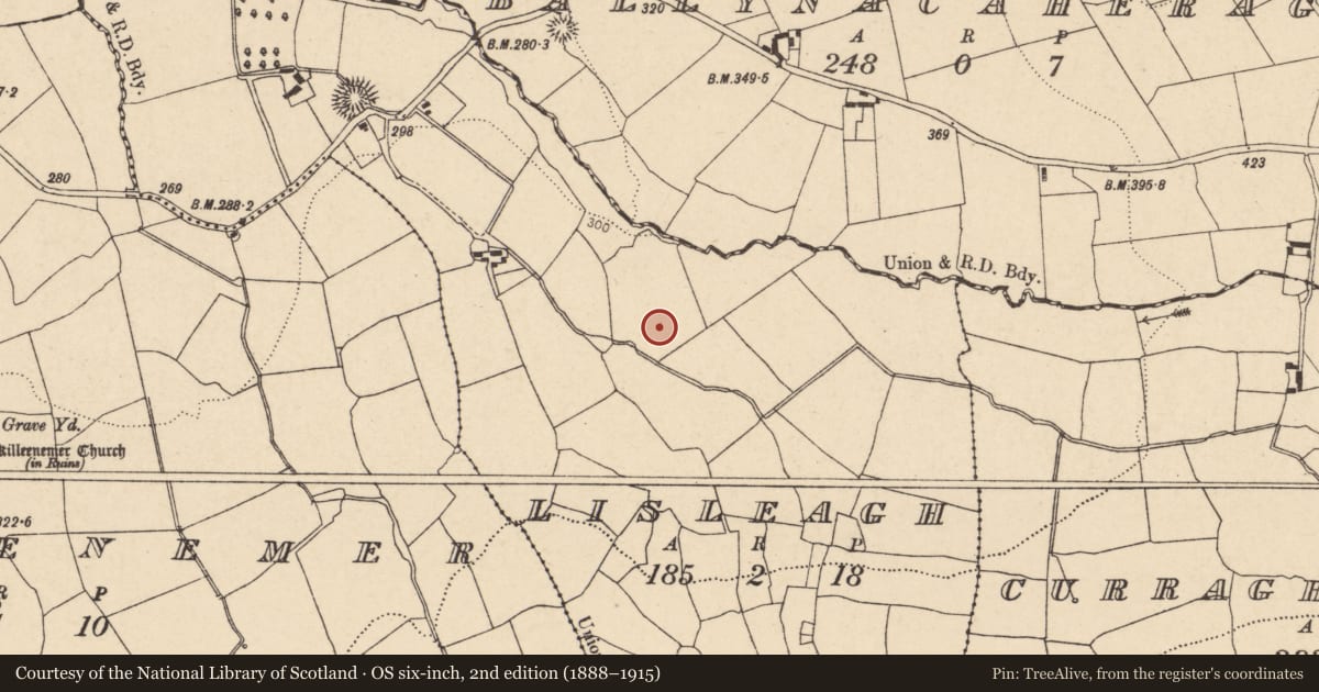 Ordnance Survey six-inch map, 2nd edition (1888–1915) covering the location of Fulacht fia, Lisleagh, County Cork, with a pin at the register's coordinates